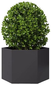Vaso/floreira de jardim hexagonal 69x60x45 cm aço preto