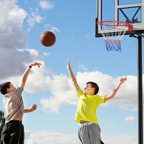 Cesto de basquetebol de 45 cm para montagem na parede com rede Preto