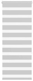 vidaXL Cortina de zebra 55x150 cm largura do tecido 50,9 cm poliéster