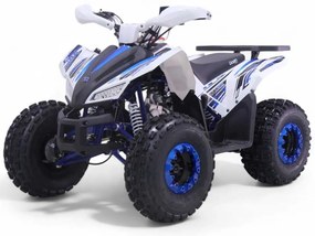 Mini Moto 4 gasolina para crianças automática 125cc Roan Coyote R8 Ecrã digital e com e marcha-atrás Azul