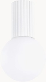 Foco de teto pequeno Orbital