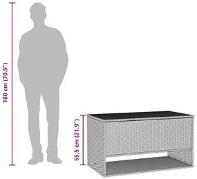 Caixa para almofadões de exterior 100x55x55,5 cm vime PE