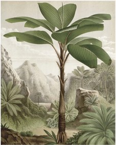 Papel de parede não tecido Banana Tree