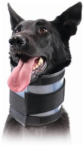 Coleira Cervical para Cães Kvp Preto (10-41 cm)