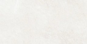 Mexen French Amostra de prata de grés esmaltado rectificado. G1, azulejo de pavimento e parede, brilho - TL173-01-S