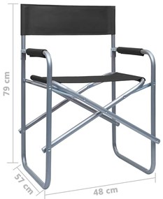 Cadeiras de realizador 2 pcs aço preto