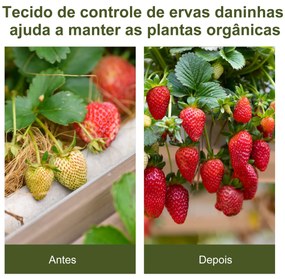 Malha Geotêxtil 2x50 m Malha de jardim contra ervas daninhas 100 g / m² rolo de malha preto