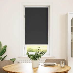 vidaXL Estore de rolo 40 x 100 cm, Preto