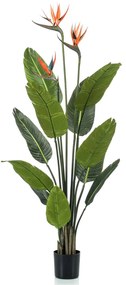 428469 Emerald Planta estrelícia artificial em vaso com flores 120 cm