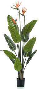 Emerald Planta estrelícia artificial em vaso com flores 120 cm