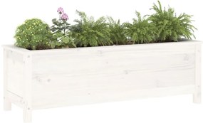 Canteiro elevado de jardim 119,5x40x39 cm pinho maciço branco