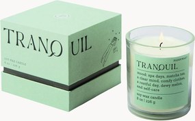Vela Mood (Tranquil Lush Palms)