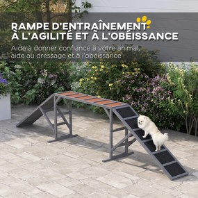Rampa de agilidade para cães 335x55x60 cm, equipamento de agilidade para cães, barras de segurança com superfície antiderrapante cinzento
