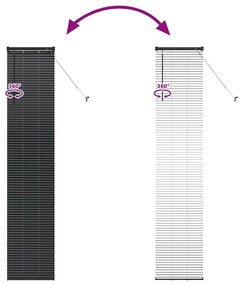 Persiana de Janela com cortinas Outros Manual Preto 40 x 220 cm Alumín