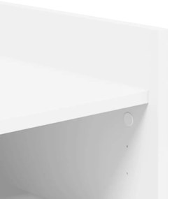 Sapateira 52x37,5x100 cm derivados de madeira branco