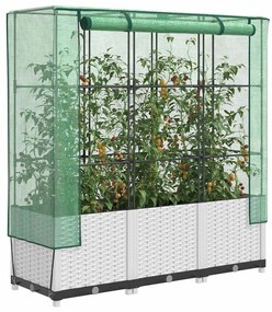 vidaXL Canteiro elevado com cobertura de estufa aspeto de vime