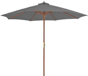 Guarda-sol de exterior com mastro de madeira 300 cm antracite