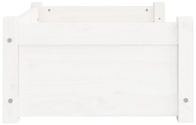 Cama para cães 65,5x50,5x28 cm madeira de pinho maciça branco