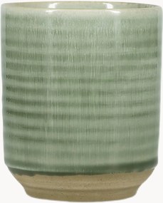 Canecas Cameo Green, conjunto de 4