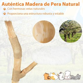 Árvore para gatos 50 x 90 cm com Centro de atividades para gatos em madeira maciça com postes para arranhar em juta natural Natural e branco