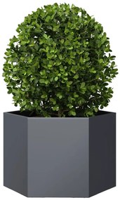 Vaso/floreira de jardim hexagonal 69x60x45 cm aço antracite
