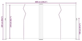 Toldo lateral retrátil 220x600 cm antracite