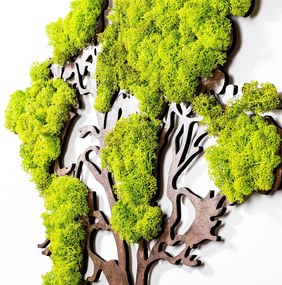 Acessório Decorativo de Parede Tree – Verde/ Castanho – 71 x 1 x 59 cm