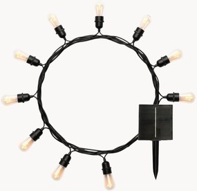 Sistema de iluminação LED solar Flame