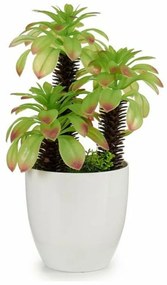 Planta Decorativa (17 x 31 x 17 cm)