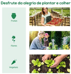 Estufa tipo Túnel 400x200x205 cm Estufa de Jardim com Porta Enrolável
