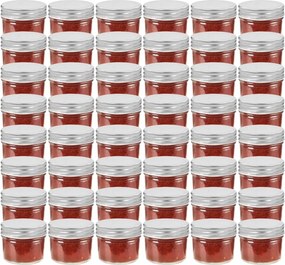 vidaXL Frascos de vidro com tampas prateadas 48 pcs 110 ml