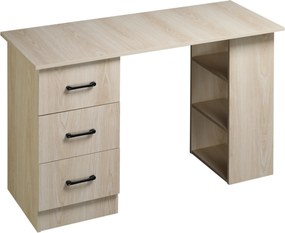 Secretária para Computador, 120 x 49 x 72 cm, Prateleiras e Gavetas, Cor de Madeira