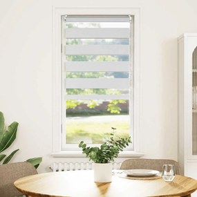 Estore de rolo 40 x 100 cm, linhas de zebra / Branco