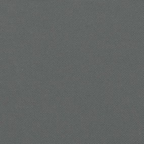 Toldo lateral retrátil 200x600 cm antracite