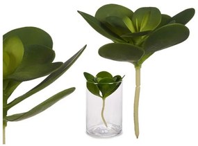 Planta Decorativa S3607243 Plástico (16 x 25 x 16	 cm) (18 x 23 x 18	 cm)