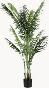 Planta artificial Kenzia, conjunto de 2