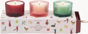 Conjunto de velas perfumadas Christmas (frutos silvestres de inverno, hortelã-pimenta rosa e abeto-balsâmico), conjunto de 3