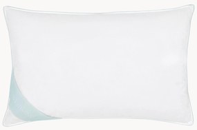Almofada de penas e plumas Comfort, média