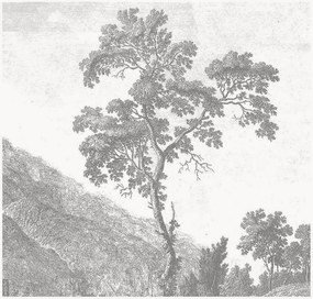 Papel de parede não tecido Engraved Landscapes I