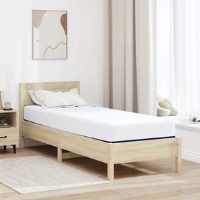 vidaXL Colchões Branco, Azul 70 x 200 cm