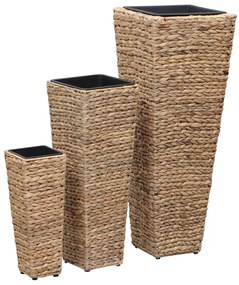 Vasos/floreiras 3 pcs jacinto de água castanho
