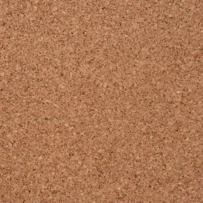 Rolo de cortiça 100x200 cm 2 mm