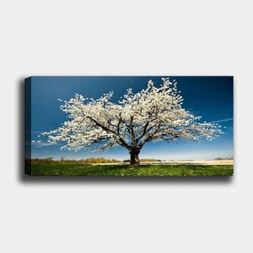 Tela Decorativa YTY1233464_50120 – Multicolor – 50 x 120 cm