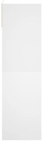 Sapateira 60x34x116 cm derivados de madeira branco
