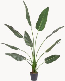 Planta artificial Strelitzia