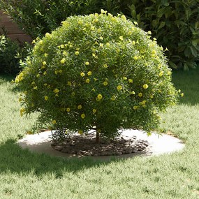 Plantadeira de Plástico Branca Plástico Médio Resistente