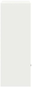 Caixa para entrega de pacotes Branco 41 x 38 x 103 cm Aço