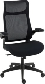 Cadeira de Escritório Ergonómica com Suporte Lombar e Apoios de Braços 3D Dobráveis Função de Basculante 64x65x108-118 cm Preto