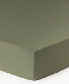 Lençol em jersey com elástico Thany