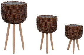 vidaXL Vasos 3 pcs vime com revestimento a PE